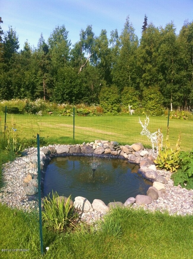 Pond