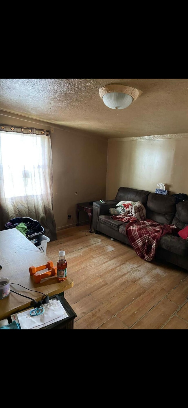 340 Arbor St E, Marcellus, MI 49067 - photo 4