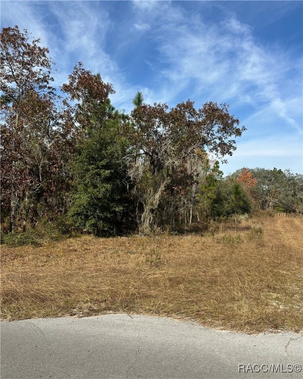 Lot 2 NE 151 Terrace, Williston Highlands, FL 32696 - photo 3