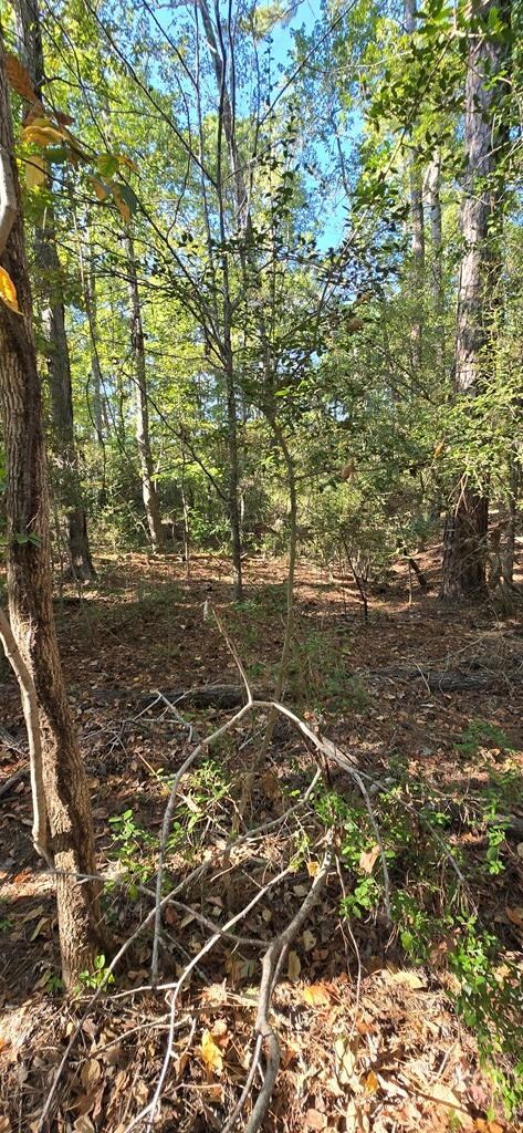 PIDN 13737 Lake Circle Dr, Broaddus, TX 75929 - photo 4