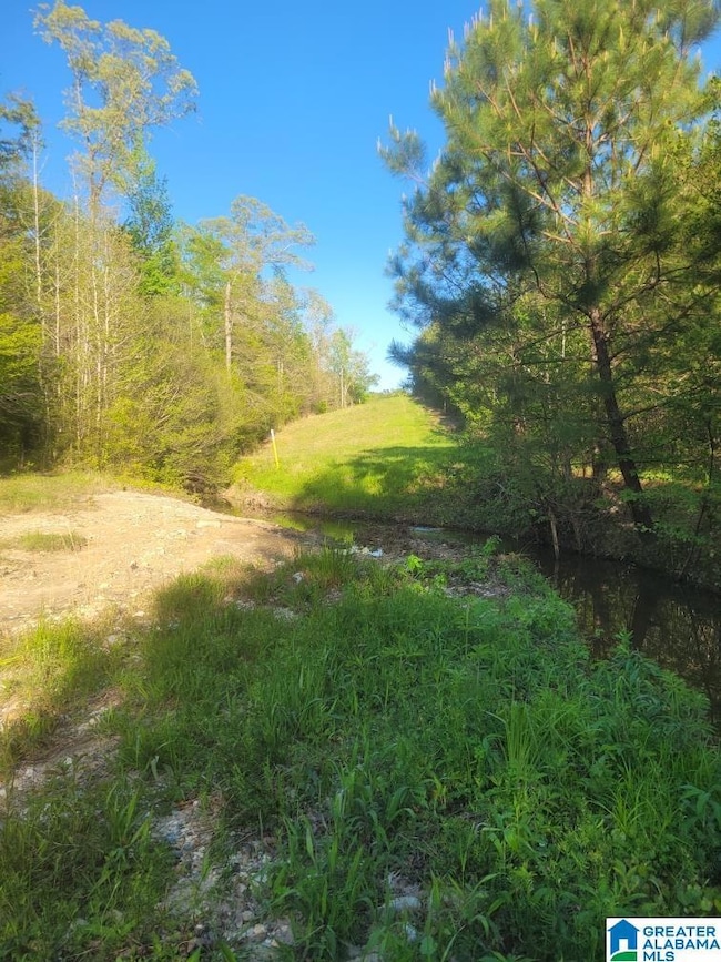 755 Pine Ridge Rd, Sylacauga, AL 35151 - photo 6