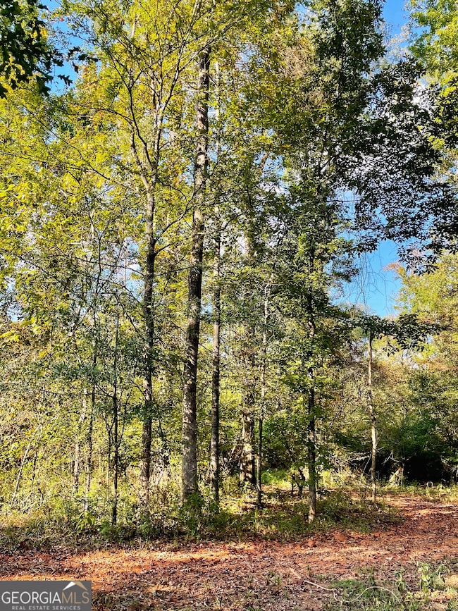 0 Highway 36 E unit 10652520, Jackson, GA 30233 - photo 2