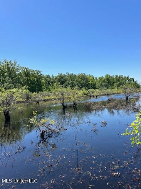 Large Slough with Water