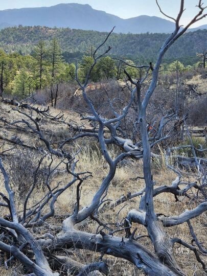 Wet Mountain Views