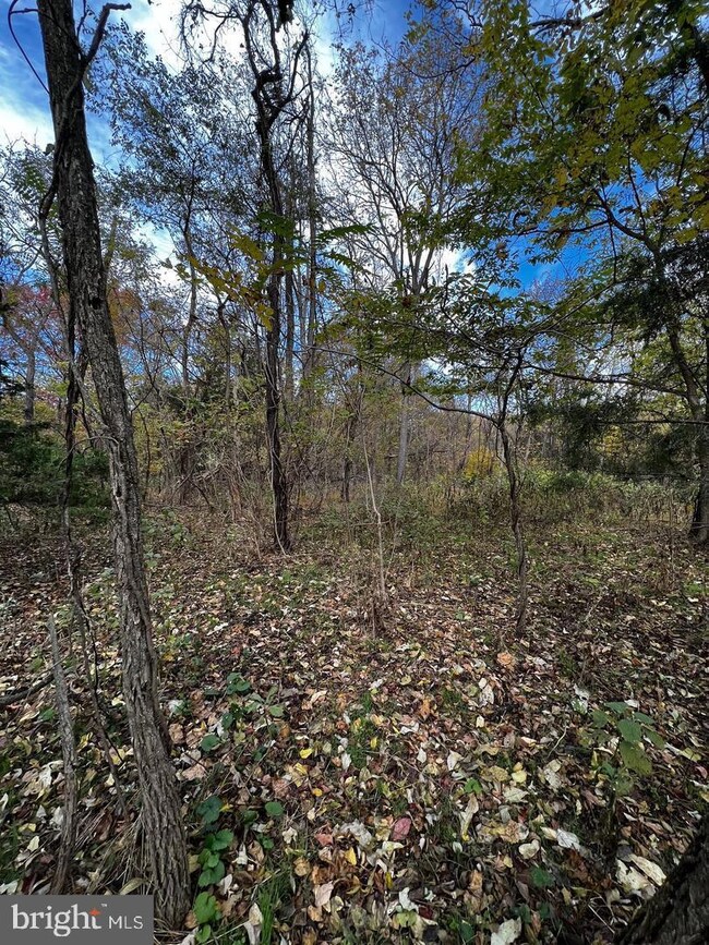 0 Poplar Rd unit VAWR2005888, Front Royal, VA 22630 - photo 3