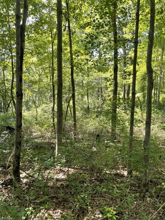 0 Ohio 45, Wellsville, OH 43968 - photo 3