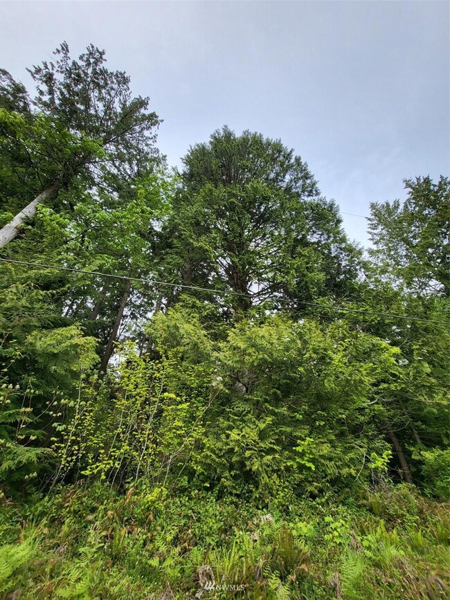 0 288th St NW unit 1935065, Stanwood, WA 98292 - photo 4