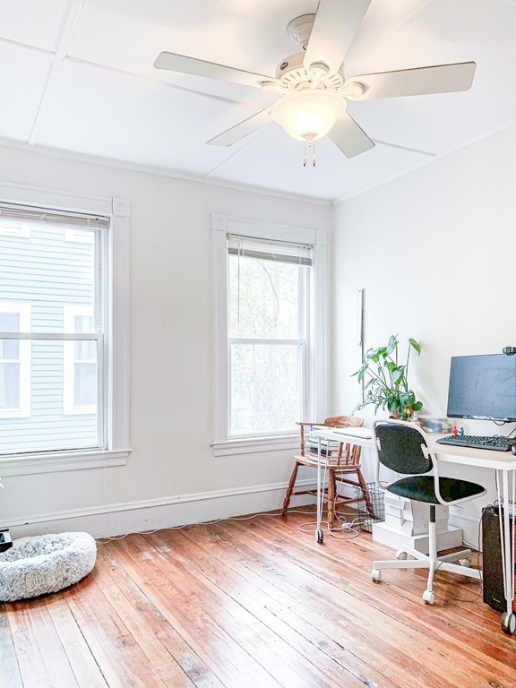 16.5 Magnolia Ave unit 2, Cambridge, MA 02138 - photo 3