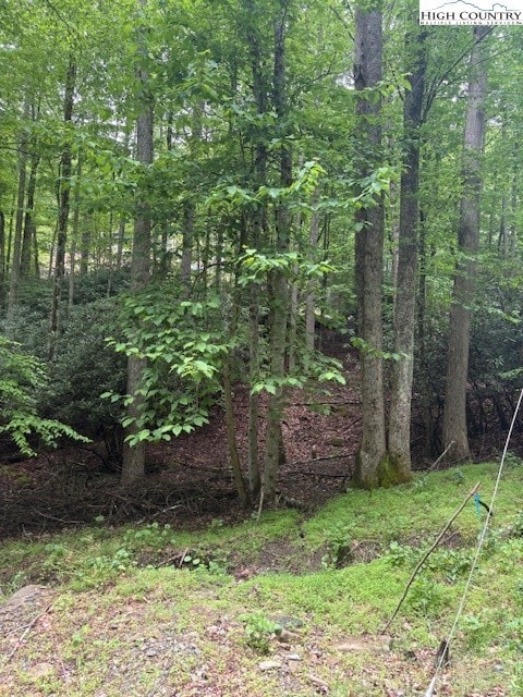 522 St Andrews Rd, Beech Mountain, NC 28604 - photo 5