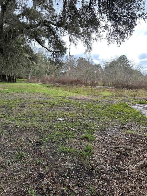 7336 Zimmer St, Zephyrhills, FL 33541 - photo 7
