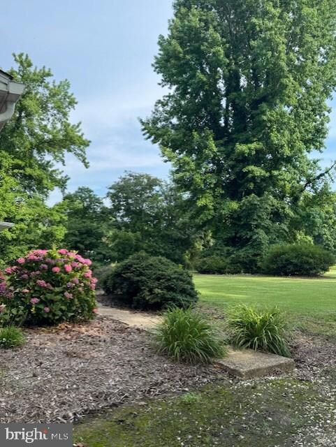 1410 Stepney Rd, Annapolis, MD 21409 - photo 5