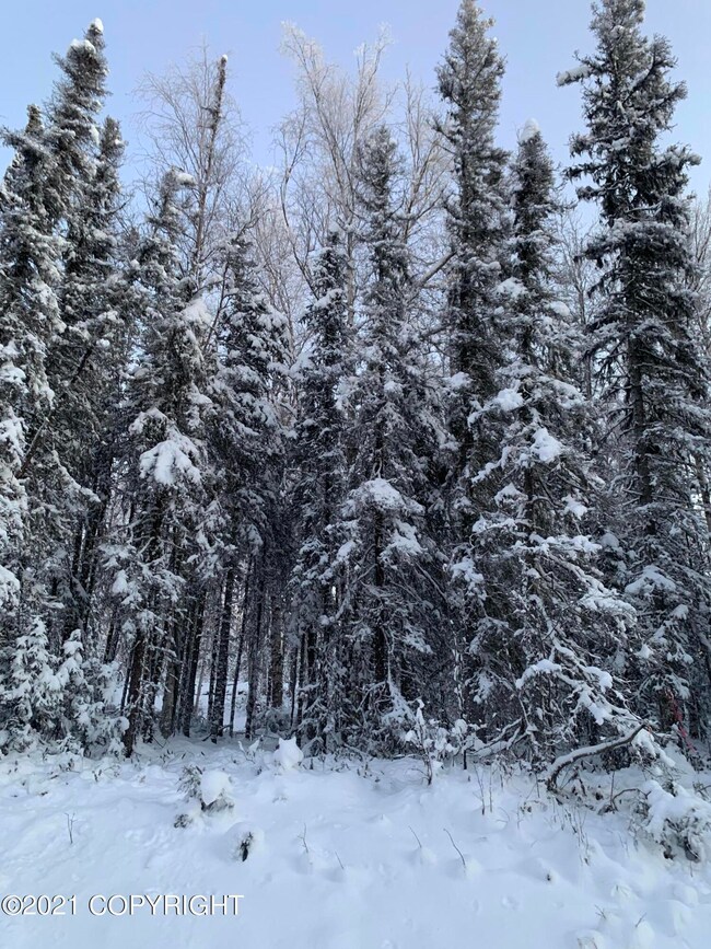 image00006