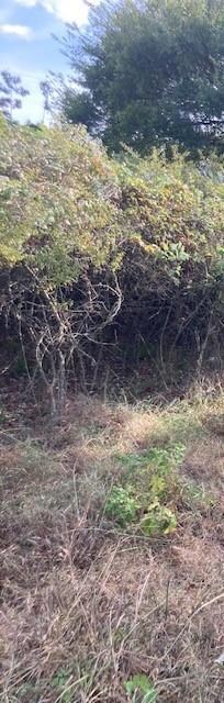 TBD Tahoka Trail, Horseshoe Bend, TX 76087 - photo 3