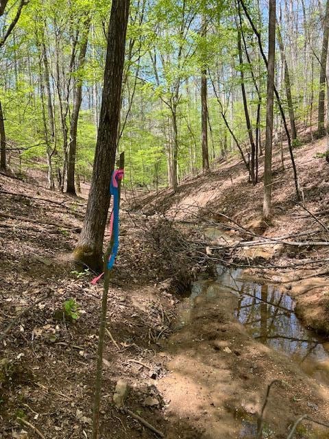 LT 3421 Hart Ct, Ellijay, GA 30540 - photo 7