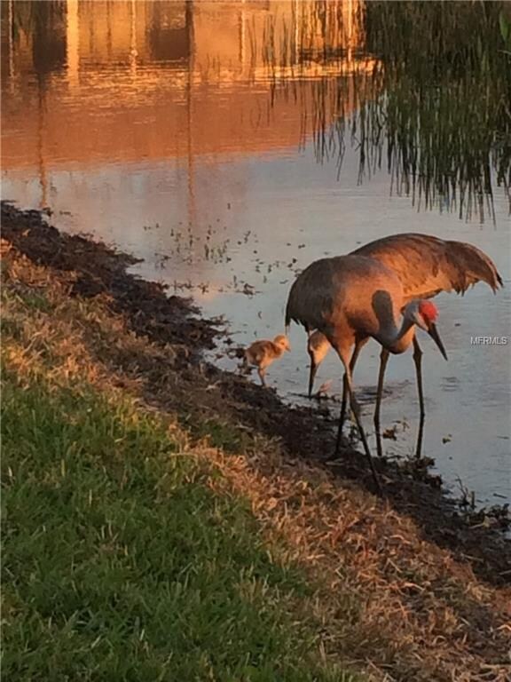 7050 Strand Cir unit 1, Bradenton, FL 34203 - photo 6