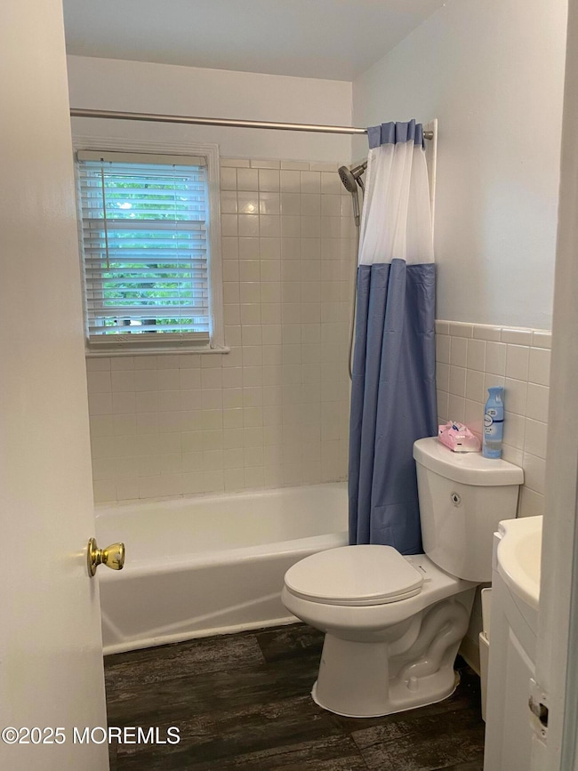 rental 2