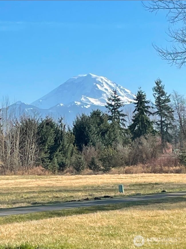22215 SE 436th St, Enumclaw, WA 98022 - photo 2