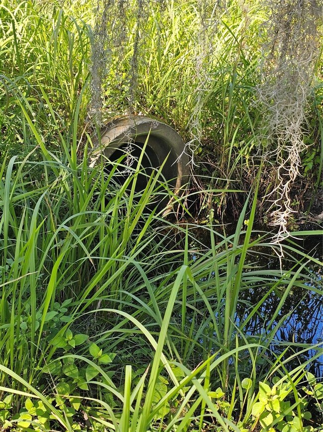 786 Fort Florida Rd, Debary, FL 32713 - photo 4