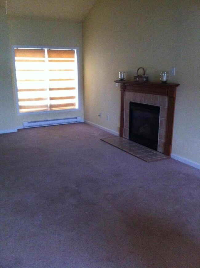 2505 Waterfront Fireplace1