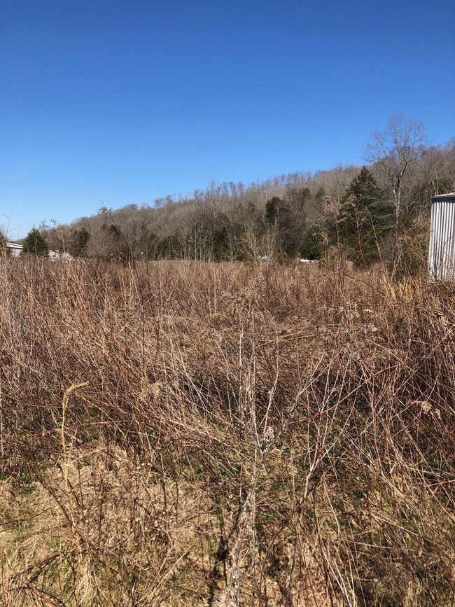 327 Field Dr, Linden, TN 37096 - photo 3