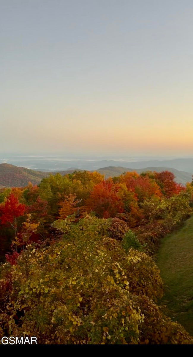 1386 Ski View Dr unit 111, Gatlinburg, TN 37738 - photo 4