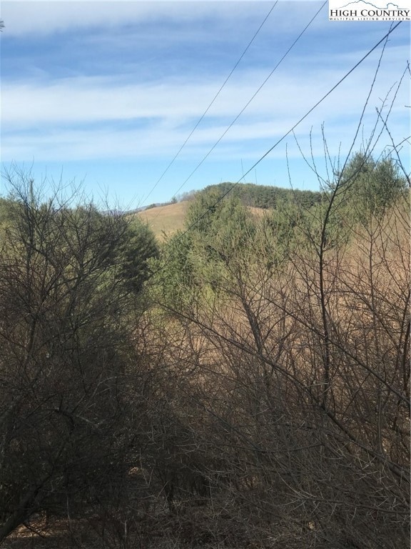 potential mountain view