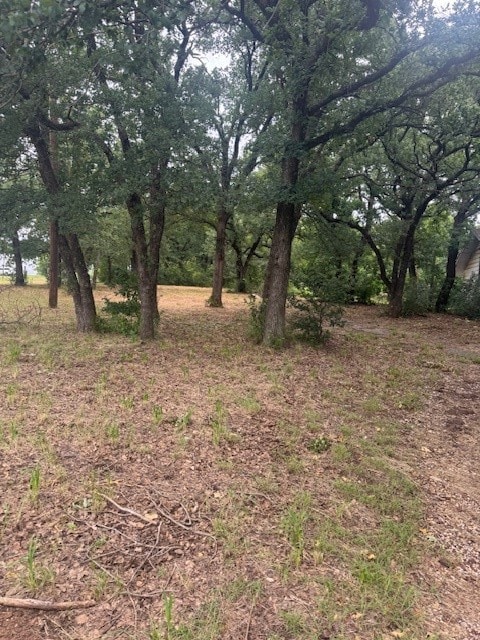 6355 Newt Patterson Rd unit A, Mansfield, TX 76063 - photo 6