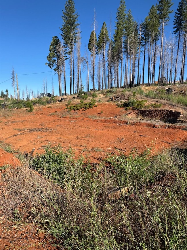 4491 String Canyon Rd, Grizzly Flats, CA 95636 - photo 5