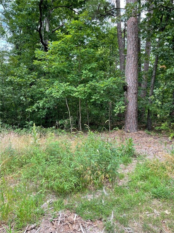 Lot 5 Tiverton Ln, Bella Vista, AR 72715 - photo 7
