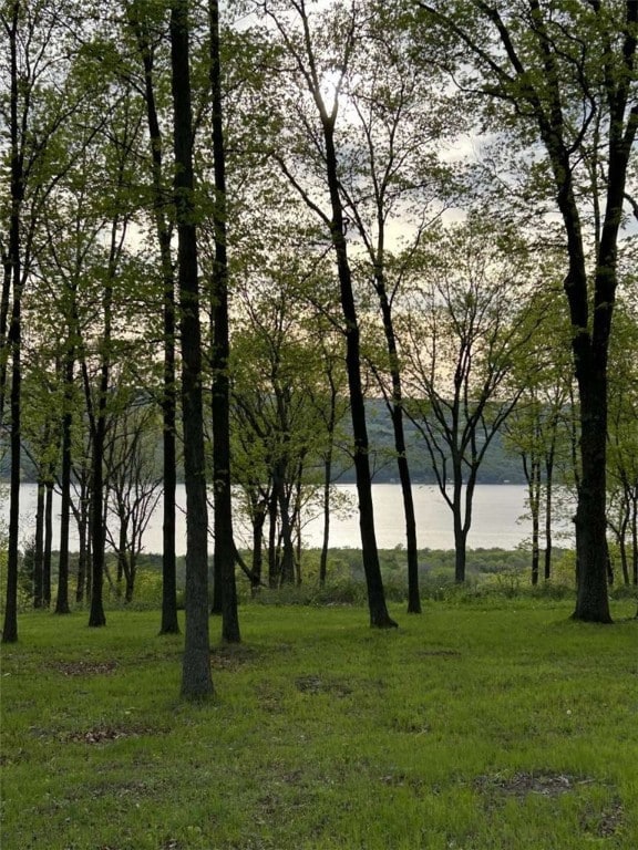 0 Satterly Way, Hector, NY 14818 - photo 3