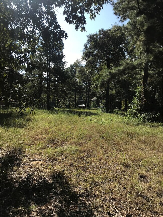 0 Hickory Knoll unit 90850686, Cleveland, TX 77328 - photo 4