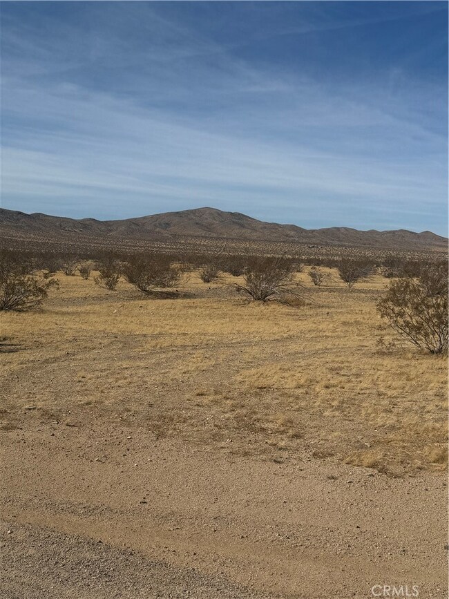 0 Sky View Rd unit RS25073683, Oro Grande, CA 92368 - photo 2