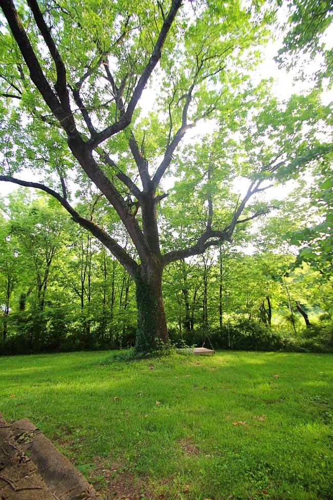 932 Old Riverdale Rd, Nixa, MO 65714 - photo 5