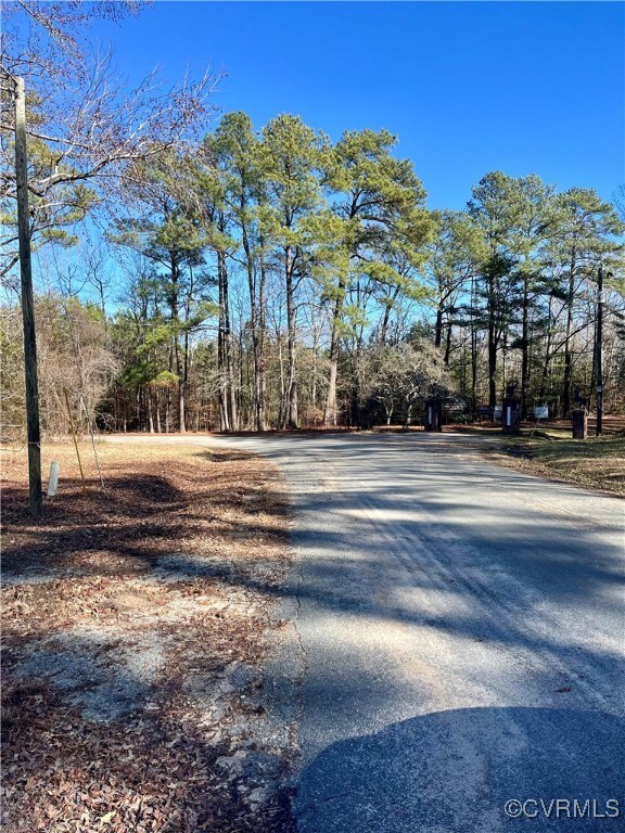 11901 Mapsico Rd, Charles City, VA 23030 - photo 6