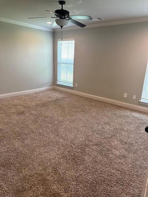 Empty room with carpet, ceiling fan, and crown molding