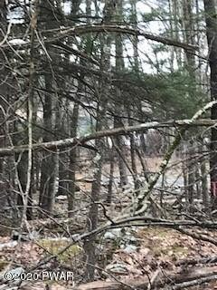 0 738 739 740 Tink Wig Dr, Lackawaxen, PA 18435 - photo 5