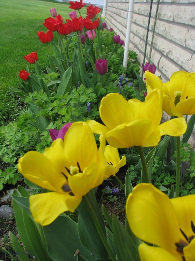 111 N 4th Ave E, Three Forks, MT 59752 - photo 6