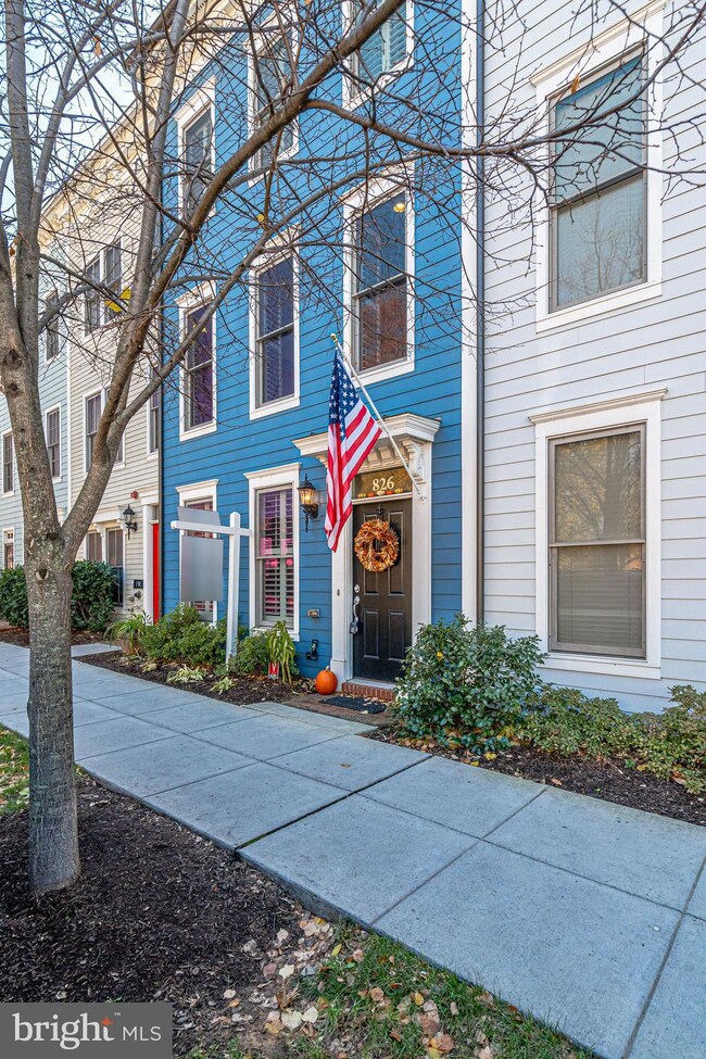 826 Montgomery St, Alexandria, VA 22314 - photo 3