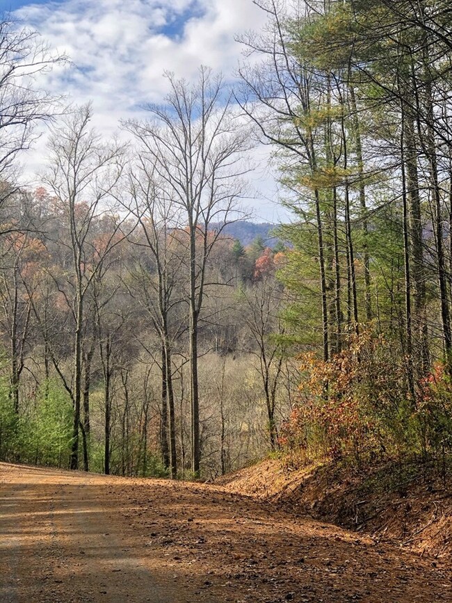 0 Rustling Woods Trail unit 26019251, Cullowhee, NC 28723 - photo 3