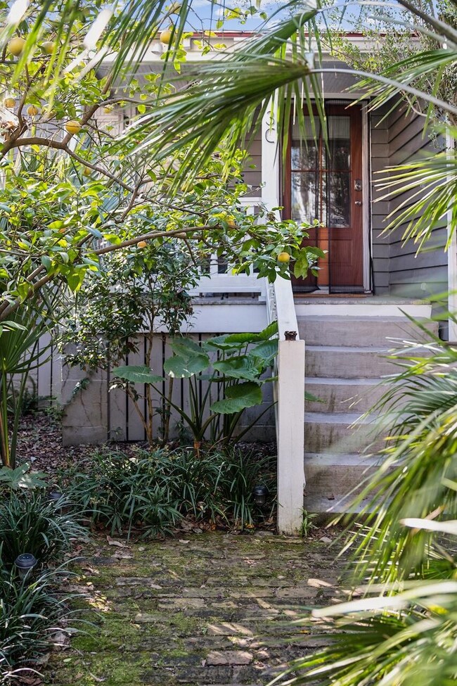 Front yard