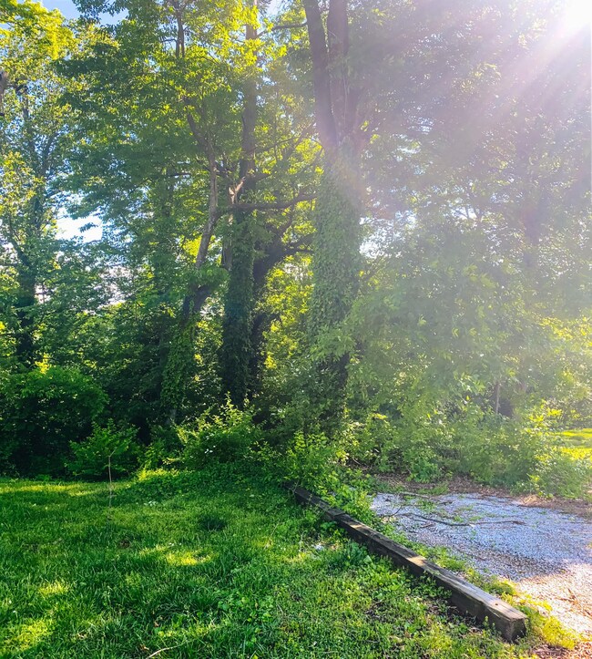 0 Red Oak Dr unit RTC2332729, Chattanooga, TN 37415 - photo 7