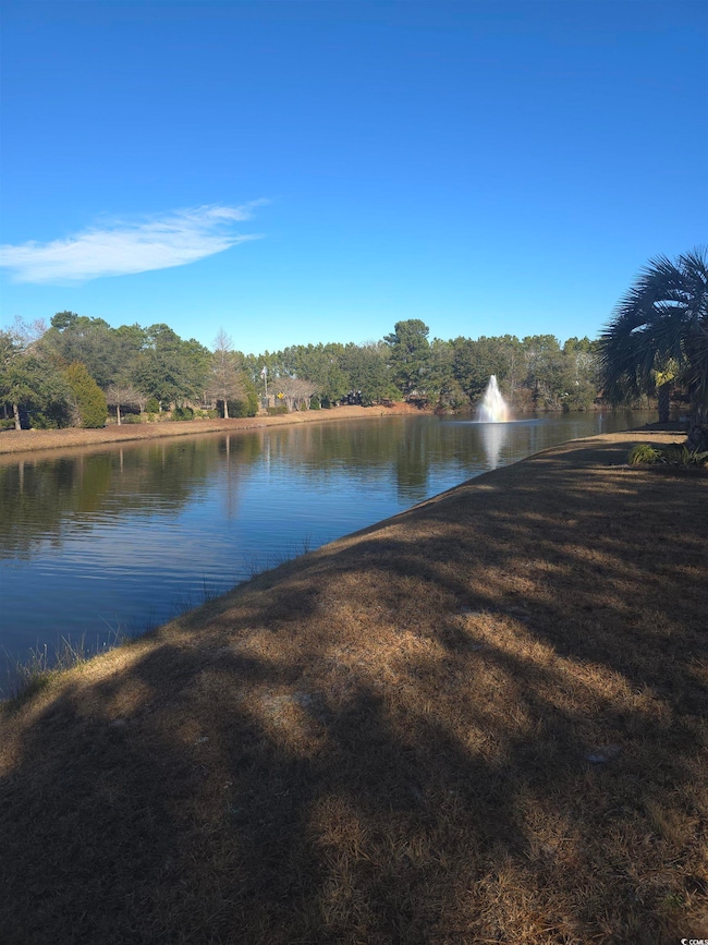 View of water feature