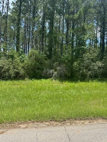 0 Longleaf Dr, Petal, MS 39465 - photo 5