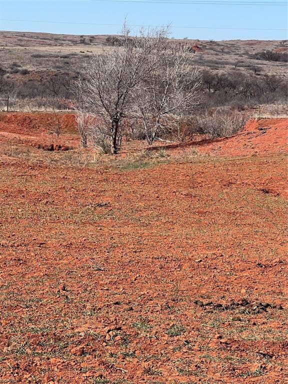 View of local wilderness