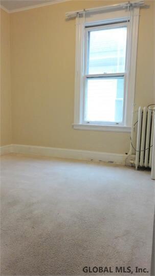 390 Mountain St, Albany, NY 12209 - photo 5