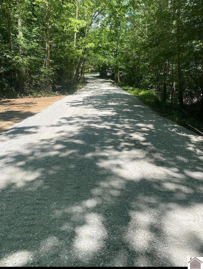 1 Timber Ridge Dr unit and Smith Grove Subd, Paducah, KY 42001 - photo 3