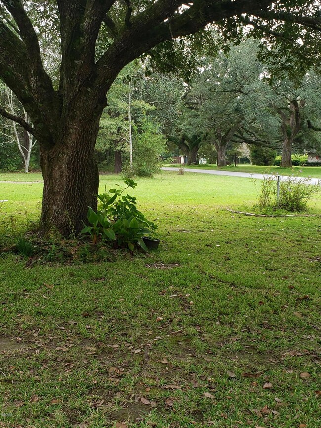 3605 Manchester Rd, Moss Point, MS 39562 - photo 6