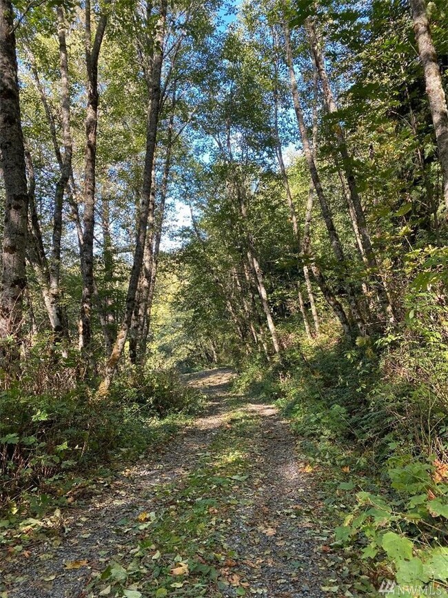 23310 148th Avenue Ct E, Orting, WA 98360 - photo 6