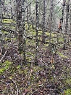 Granite Creek Lot 8 #4