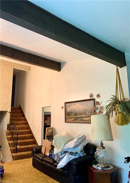 9110 Crackel Rd, Chagrin Falls, OH 44023 - photo 4